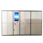 Industry-Grade Laundry Cleaning Locker With Remote Control System